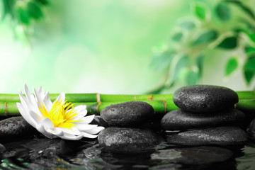Beau jardin zen avec fleur de lotus et étang sur fond vert flou