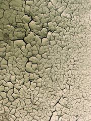 dry soil texture background, mud wall