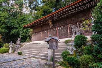 京都 宇治上神社 本殿