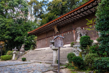 Fototapeta na wymiar 京都 宇治上神社 本殿