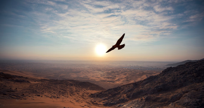 AL FAYA Mountain - DUBAI - UAE transportation concept