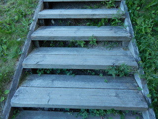Wooden staircase going up on a background of green grass