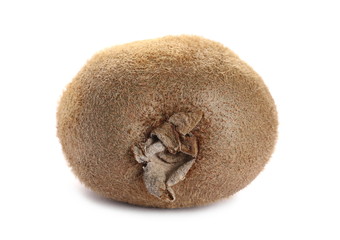 Kiwi fruit isolated on white background