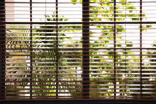 Fototapeta Beautiful view through window on garden in morning