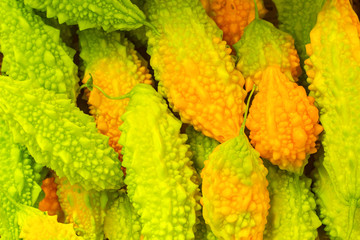 Heap of multicolored exotic fruit momordica.