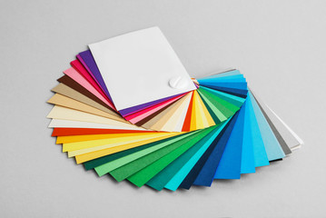 Color palette on light grey background. Professional samples