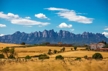 Summer landscape. Spain