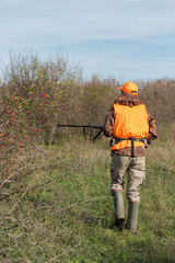 A man with a gun in his hands and an orange vest on a pheasant hunt in a wooded area in cloudy weather. Hunter with dogs in search of game.