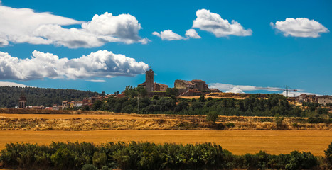 Summer landscape. Spain