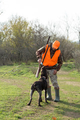 A man with a gun in his hands and an orange vest on a pheasant hunt in a wooded area in cloudy weather. Hunter with dogs in search of game.