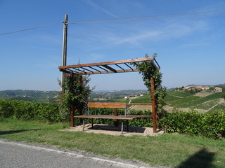 Wooden pergola with climbing plants and picnic table - Pergola in a panoramic hillside spot