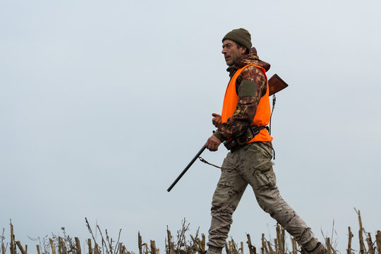 Hunting period, autumn season open. A hunter with a gun in his hands in hunting clothes in the autumn forest in search of a trophy. A man stands with weapons and hunting dogs tracking down the game.