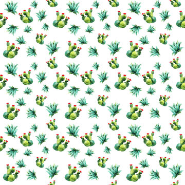 pattern of decorative succulents on a colored background