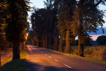 Road to Kowalewo Pomorskie. Poland