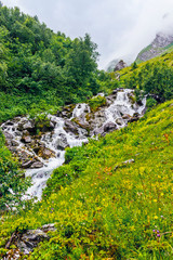 mountain stream flows over stones in a green valley