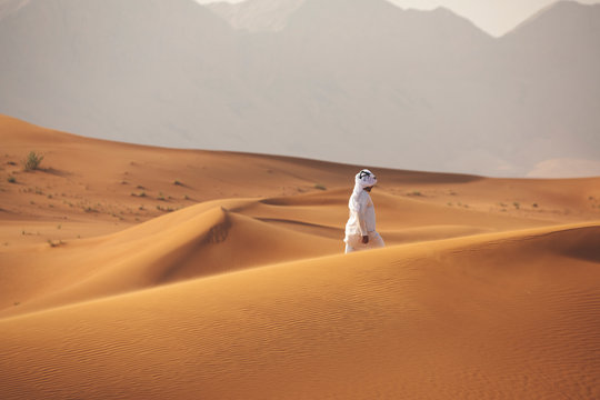arab man walking alone in the desert