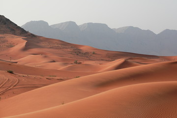 Fototapeta na wymiar Arab desert - gold sand
