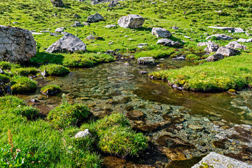 mountain stream flows over stones in a green valley