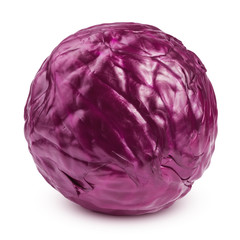 Obraz premium red cabbage, isolated on white background, clipping path, full depth of field