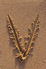 Alphabet (v) letters handwritten in sand on beach