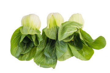 Pak choi isolated on a white bakcground