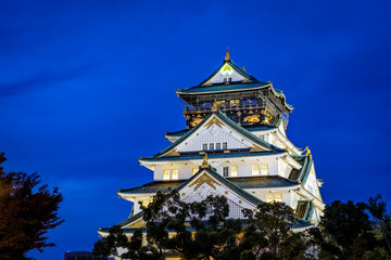 View of Osaka Castle Lit Up during the Night