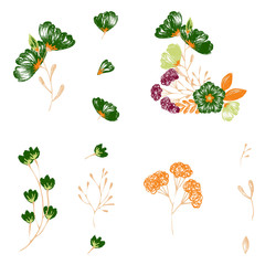 Tropical flowers set. Vector design isolated elements on the white background.