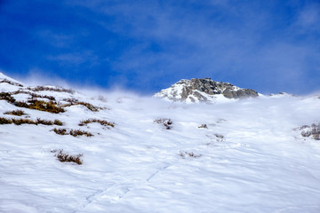 Vento in quota