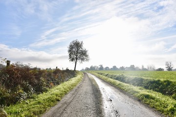 route en contre jour