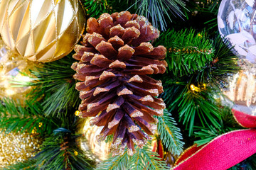 Pine Cone on Christmas tree background