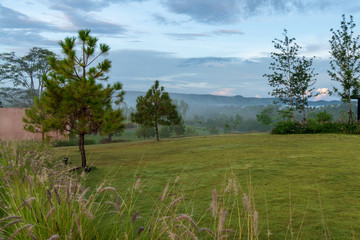 Obraz premium beautiful blue sky high peak mountains mist fog wildlife green forest at Khao Koh, Phu Tub Berk, Phetchabun, Thailand guiding idea long weekend for backpacker camping campfire relaxing hiking