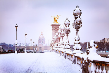 Bridge Pont Alexandre III winter snow fairytale - Powered by Adobe