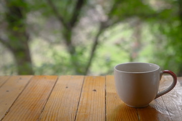  White coffee mugs set on wooden floors with a green backdrop of trees