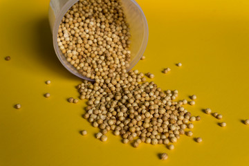 Coriander coming out from the container