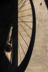Fototapeta na wymiar 自転車の影