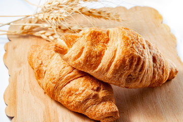 croissants with dry wheat on a wooden board on a white background