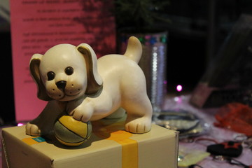 Cagnolino di Thun © Mirko