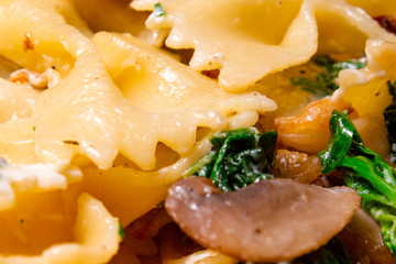 butterfly pasta with fried mushrooms, green spinach