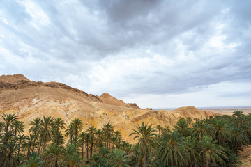 Fototapeta na wymiar Beautiful green mountain oasis in Tunisia. Chebika oasis in Tozeur Governorate. Horizontal color photography.