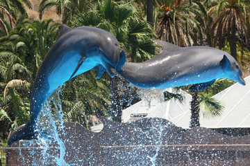 Delphin © Stephan von Mikusch