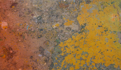 texture of old concrete covered with yellow fungus lichen