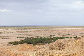 Beautiful green mountain oasis in Tunisia. Chebika oasis in Tozeur Governorate. Horizontal color photography.