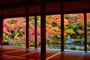 蓮華寺の紅葉