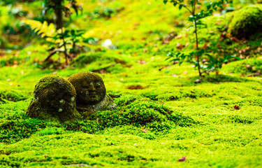 京都　三千院　わらべ地蔵