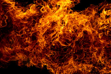 Flammable Fire Burning in Black, 激しく炎が燃え上がる様子