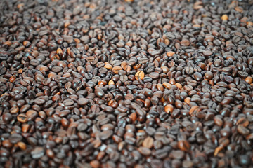 Kaffebohnen