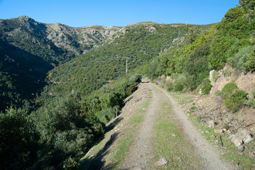 Fototapeta na wymiar La mulattiera per Monte Correxerbu