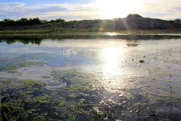 Stagnant water in the sand dune geoheritage field Parangkusumo Beach