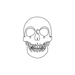 One line drawing front view human skull vector illustration