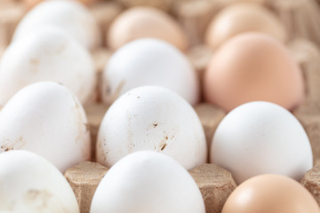 Fresh chicken eggs in industrial mud as a background